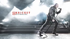 Vid Kriket