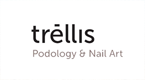 Vid Trellis